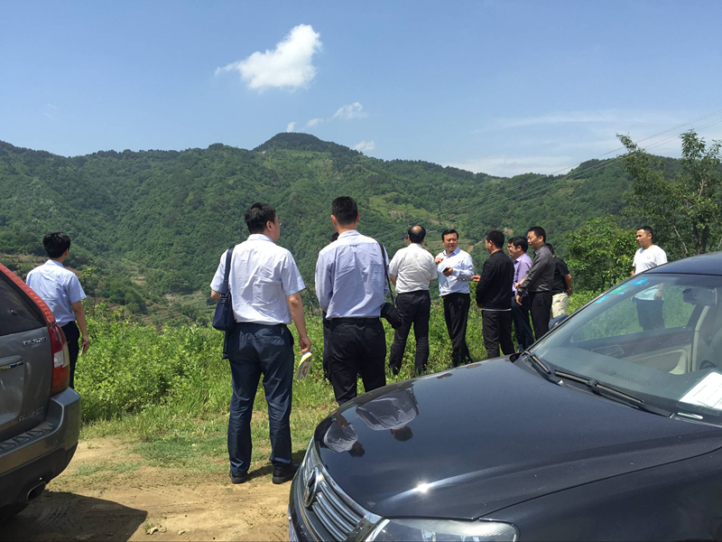 33_副本.png 33_副本.png